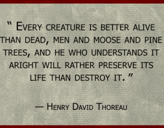 hdt_quote.jpg