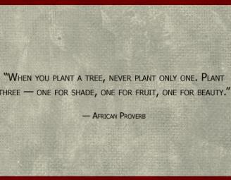 african_proverb.jpg