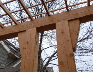 timber_trellis.jpg