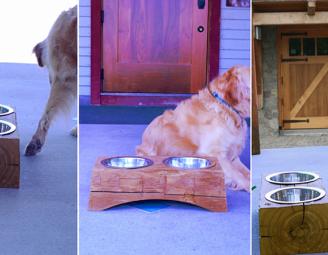 timber_water_dish_w_charlie.jpg