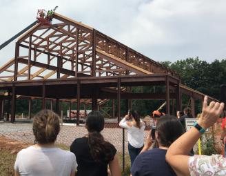 pine_bough_st_pius_x_rebuild.jpg