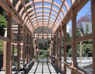 curved_timber_pergola_past_project.jpg