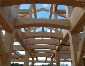 eastern_white_pine_joists.jpg