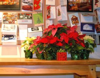 christmas_2012.jpg