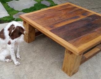 dexter_with_table_pod.jpg