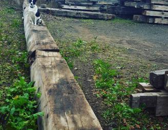 kairo_reclaimed_timber.jpg