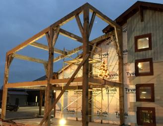 tree_on_naked_frame_reclaimed_timbers.jpg