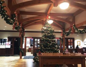 holiday_at_lyons_bank_timber_frame_canandaigua_ny.jpg
