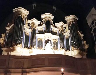 organ_project_lithuania.jpg