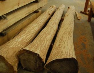 peeled_timber_oak_logs.jpg