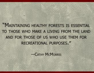 cathy_mcmorris_quote.jpg