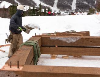 paul_with_beetle_stowe_vt_raising_new_energy_works.jpg