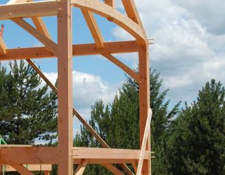 warnett_naked_frame_2.jpg