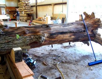 oak_post_peeling_process.jpg