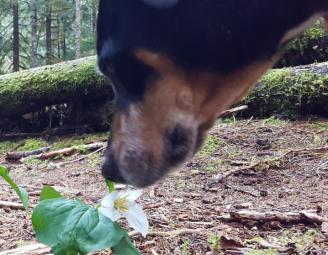 porter_with_flower.jpg