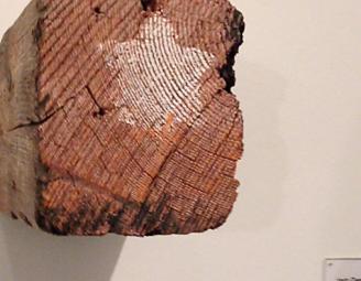 bayonne_timber_museum_2.jpg