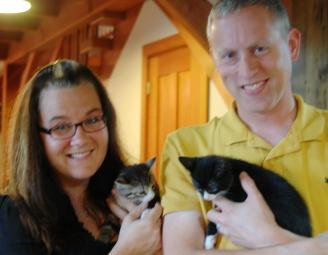 kittens_from_yard_rescue.jpg