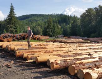 jake_on_fresh_douglas_fir_logs.jpg