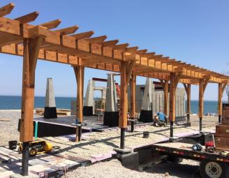 trellis_timber_lake_erie.jpg