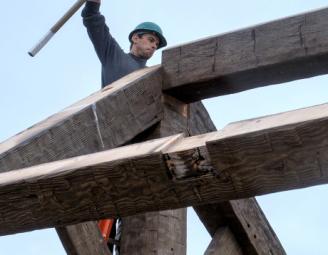 matt_h_timber_framer_with_beetle.jpg