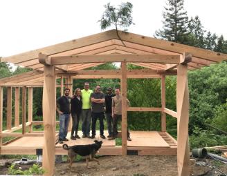 twist_timber_garden_shed.jpeg