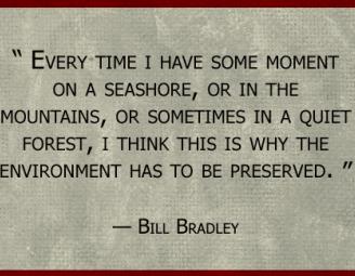 bill_bradley_quote.jpg