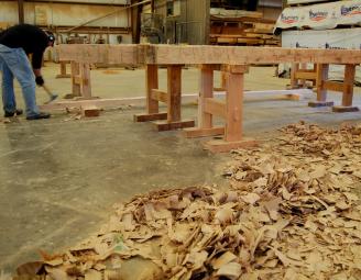 hand_hewn_new_oak_timbers.jpg