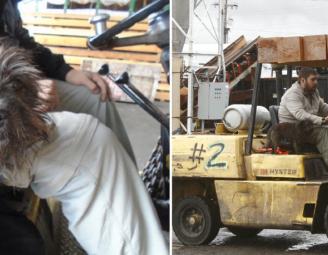 forklift_dog_caboose_mcminn.jpg