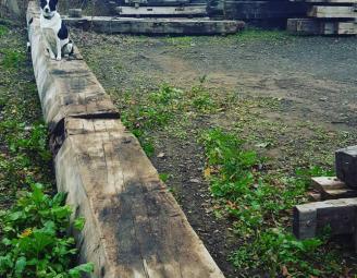 kairo_reclaimed_timber_yard.jpg
