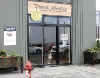 luca_in_portland_or_window.jpg