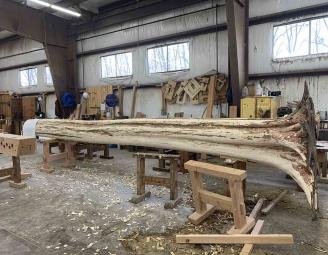 tree-scottsville-ny-owner-supplied.jpg