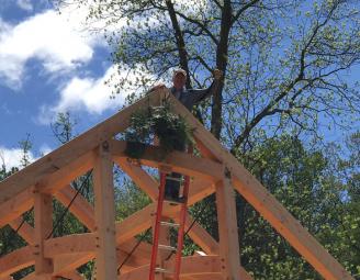 pine_bough_on_frame_in_pa.jpg