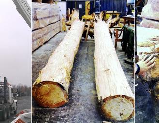 peeled_posts_for_timber_fireplace.jpg