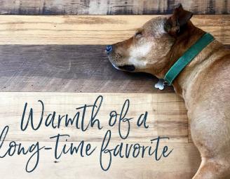 barlow_dog_on_settlers_plank_pioneer_millworks.jpg