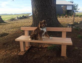 new-jewel-sherlock-bench.jpg