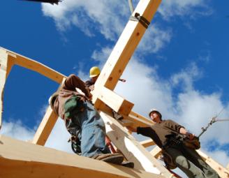 raising_eastern_white_pine_frame.jpg