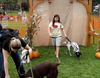 new_bent_barktoberfest.jpg