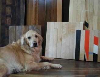 charlie_dog_with_pioneer_samples.jpg