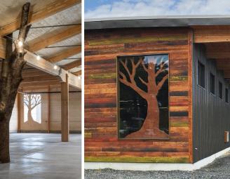 clt_building_w_tree_features.jpg