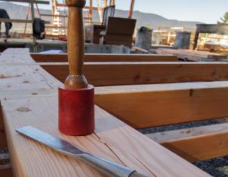 tools_of_trade_vt_raising.jpg