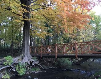 dave-bridge-handmade.jpg