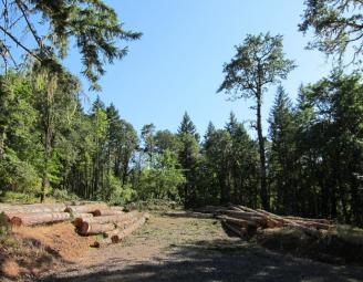 site_walk_west_coast.jpg