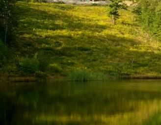 olsen_timber_frame_across_pond.jpg