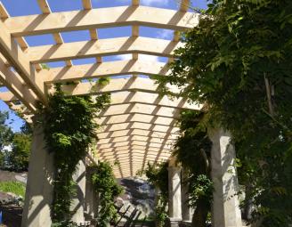 timber_pergola_yellow_cedar_ct.jpg