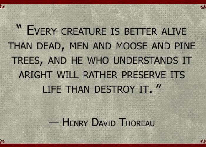 hdt_quote.jpg
