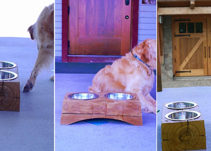 timber_water_dish_w_charlie.jpg