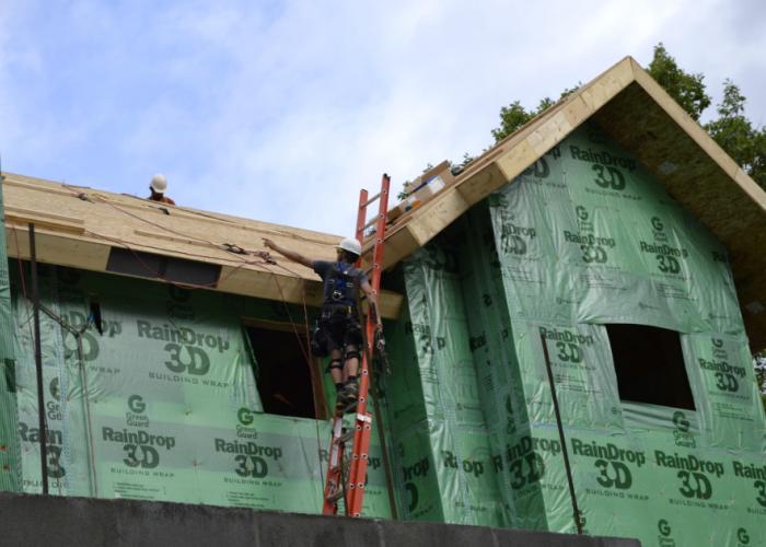 matrix_wall_wrap_lake_house.jpg