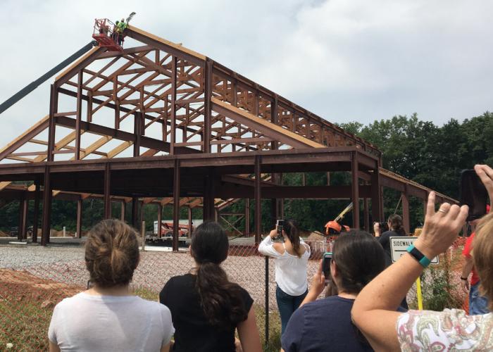 pine_bough_st_pius_x_rebuild.jpg