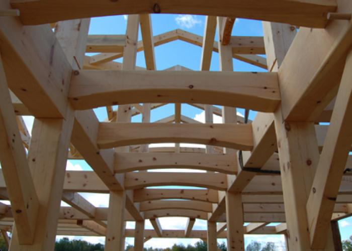 eastern_white_pine_joists.jpg