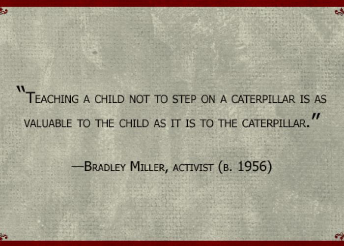 bradley_miller_quote.jpg